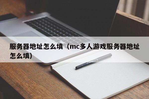 服务器地址怎么填（mc多人游戏服务器地址怎么填）