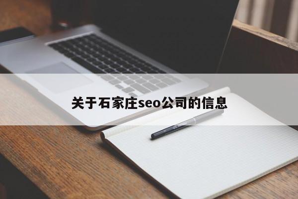 关于石家庄seo公司的信息