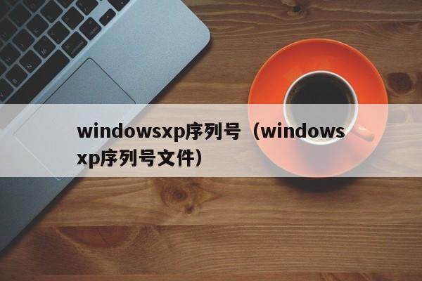 windowsxp序列号（windowsxp序列号文件）