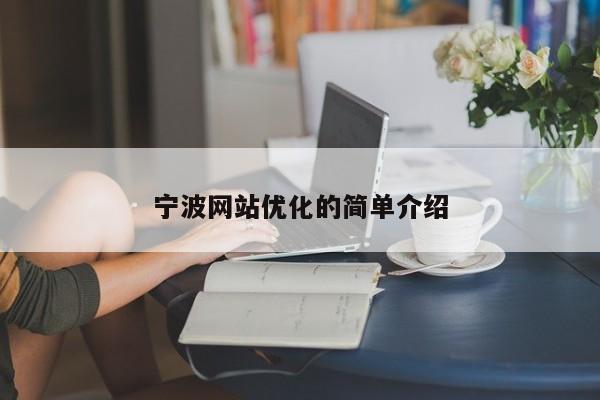 宁波网站优化的简单介绍