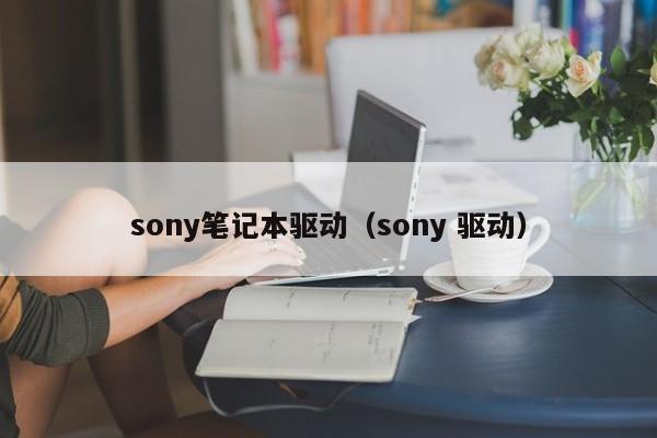 sony笔记本驱动（sony 驱动）