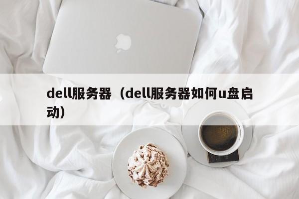 dell服务器（dell服务器如何u盘启动）