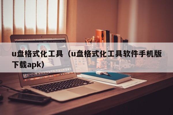 u盘格式化工具（u盘格式化工具软件手机版下载apk）