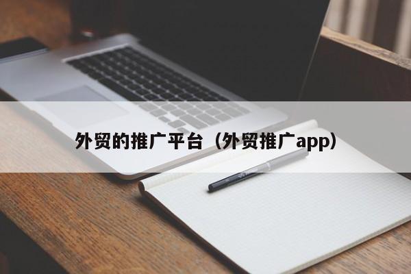 外贸的推广平台（外贸推广app）