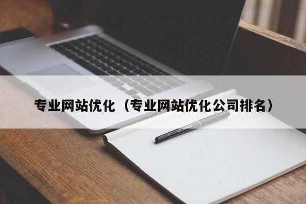 专业网站优化（专业网站优化公司排名）