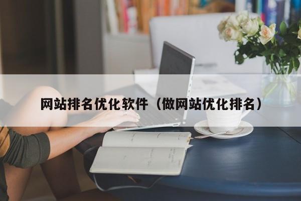 网站排名优化软件（做网站优化排名）