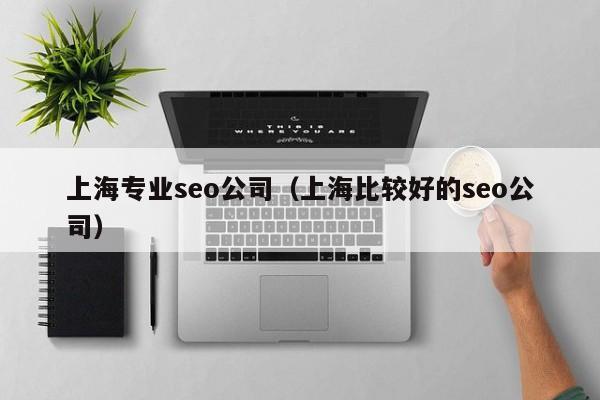 上海专业seo公司（上海比较好的seo公司）