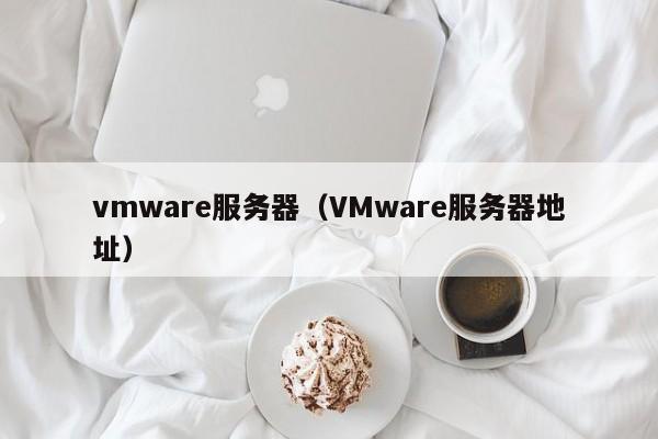 vmware服务器（VMware服务器地址）