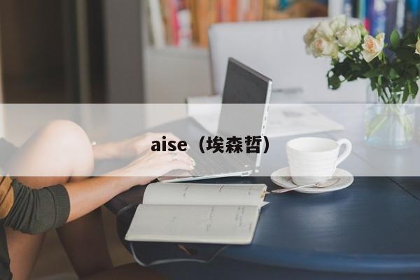 aise（埃森哲）