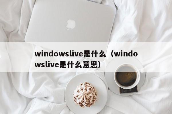 windowslive是什么（windowslive是什么意思）