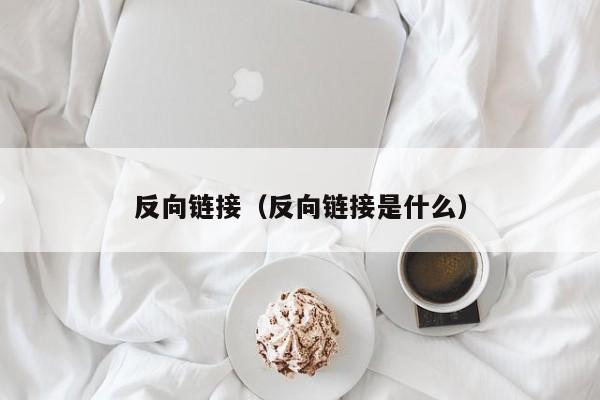 反向链接（反向链接是什么）