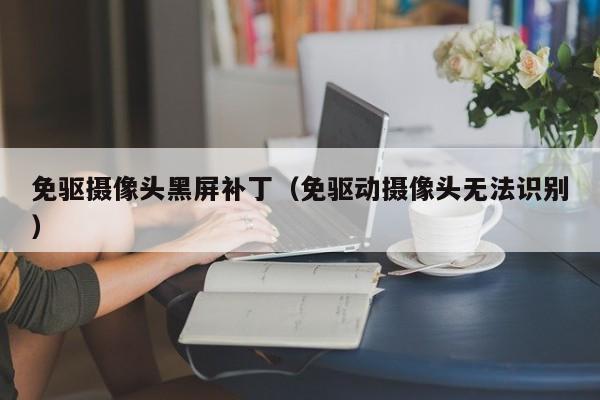 免驱摄像头黑屏补丁（免驱动摄像头无法识别）