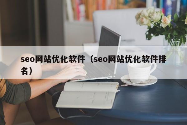 seo网站优化软件（seo网站优化软件排名）