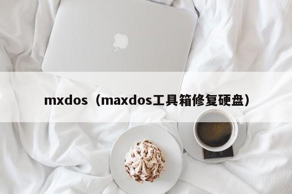 mxdos（maxdos工具箱修复硬盘）