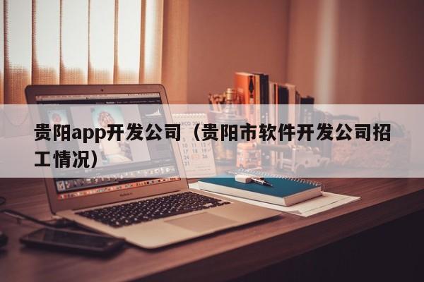 贵阳app开发公司（贵阳市软件开发公司招工情况）