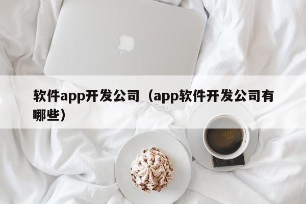 软件app开发公司（app软件开发公司有哪些）