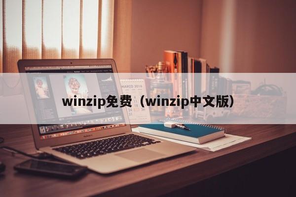 winzip免费（winzip中文版）