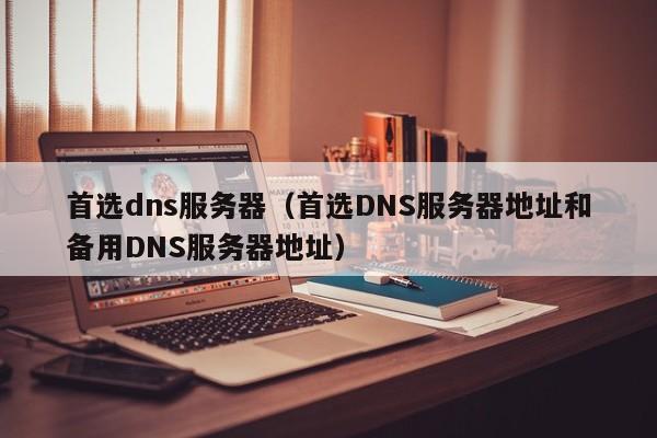 首选dns服务器（首选DNS服务器地址和备用DNS服务器地址）