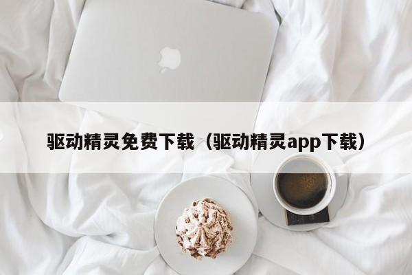 驱动精灵免费下载（驱动精灵app下载）