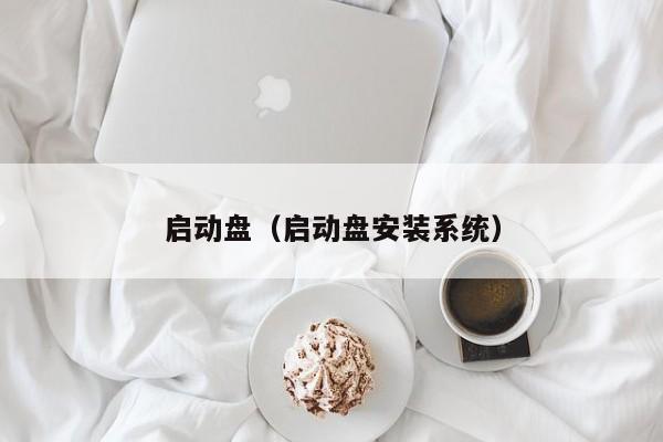 启动盘（启动盘安装系统）