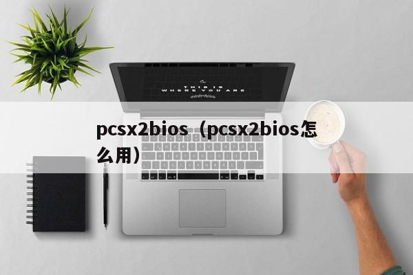 pcsx2bios（pcsx2bios怎么用）