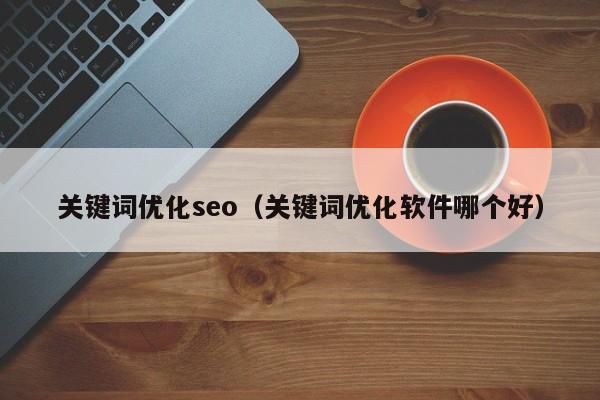 关键词优化seo（关键词优化软件哪个好）