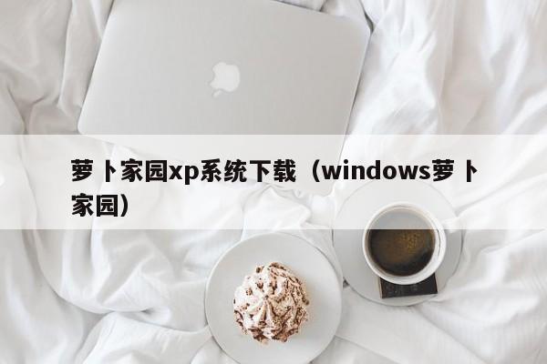 萝卜家园xp系统下载（windows萝卜家园）