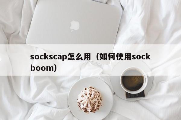 sockscap怎么用（如何使用sockboom）