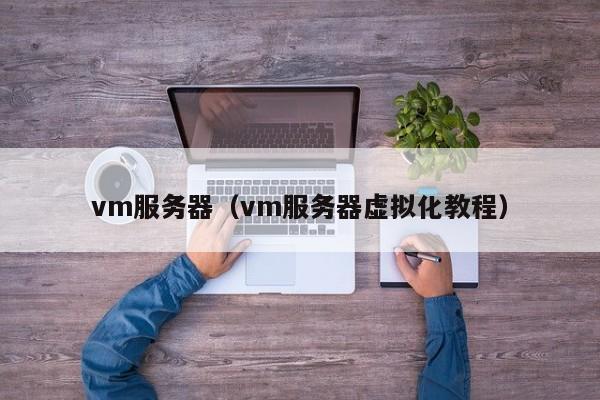 vm服务器（vm服务器虚拟化教程）