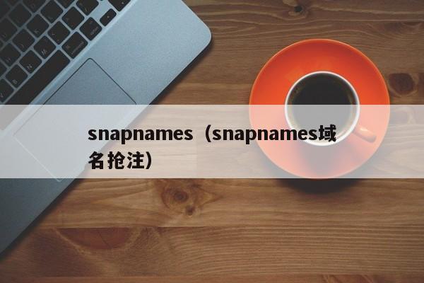 snapnames（snapnames域名抢注）