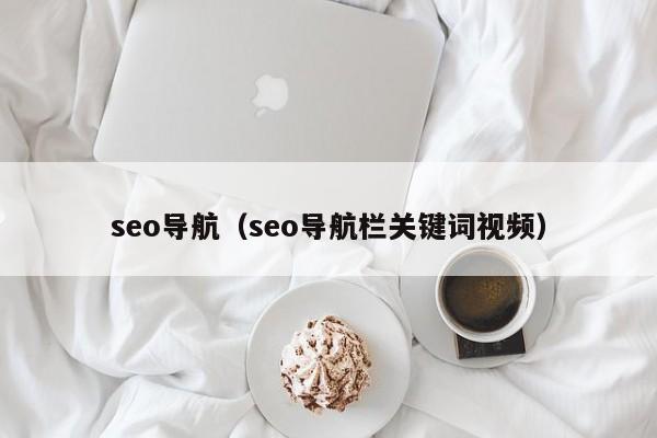 seo导航（seo导航栏关键词视频）