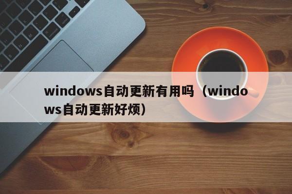 windows自动更新有用吗（windows自动更新好烦）