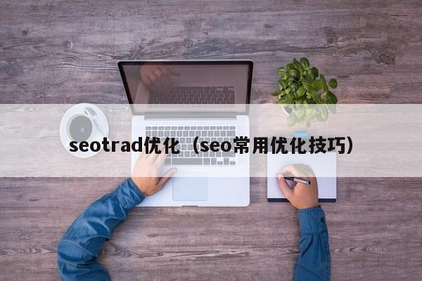 seotrad优化（seo常用优化技巧）