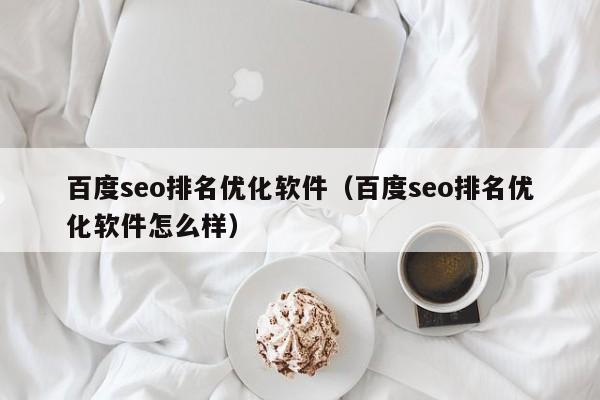 百度seo排名优化软件（百度seo排名优化软件怎么样）