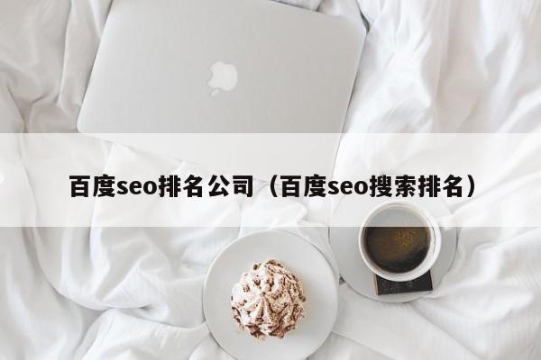 百度seo排名公司（百度seo搜索排名）