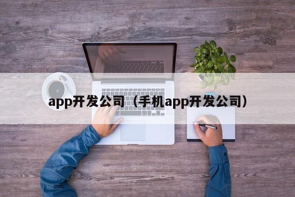 app开发公司（手机app开发公司）