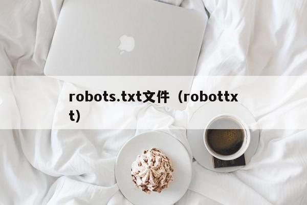 robots.txt文件（robottxt）