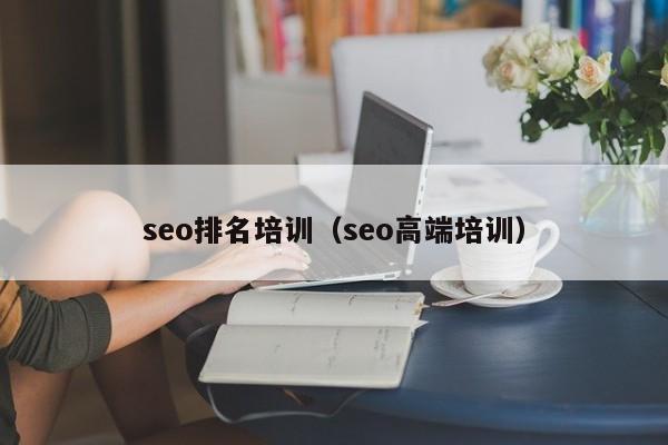 seo排名培训（seo高端培训）