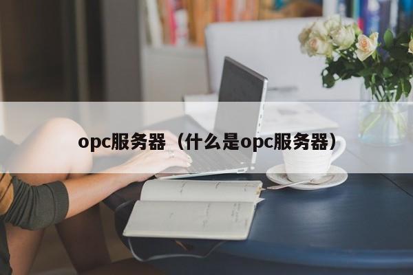 opc服务器（什么是opc服务器）