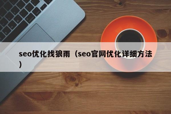 seo优化找狼雨（seo官网优化详细方法）