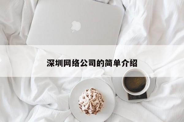 深圳网络公司的简单介绍