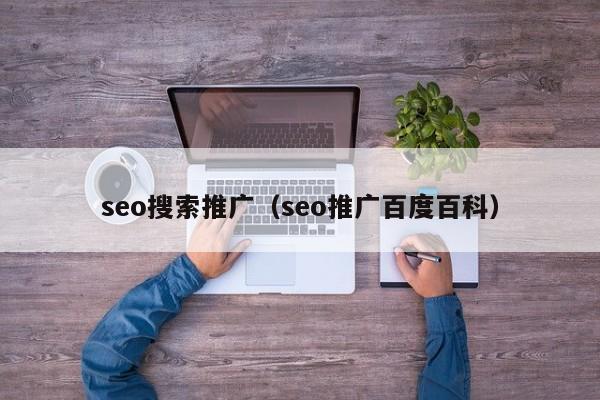 seo搜索推广（seo推广百度百科）