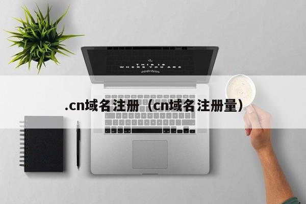 .cn域名注册（cn域名注册量）