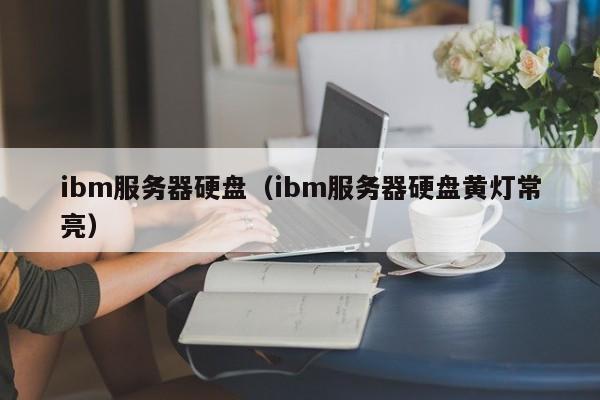 ibm服务器硬盘（ibm服务器硬盘黄灯常亮）