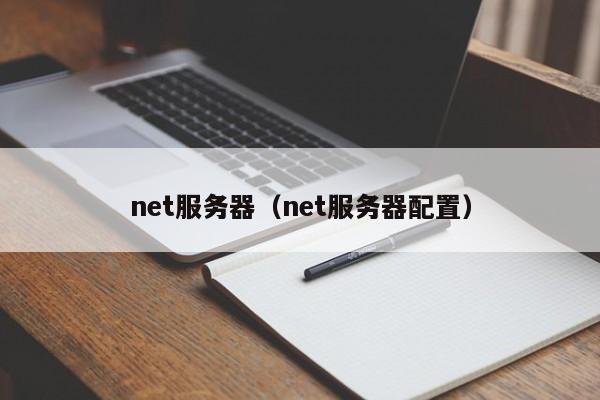 net服务器（net服务器配置）