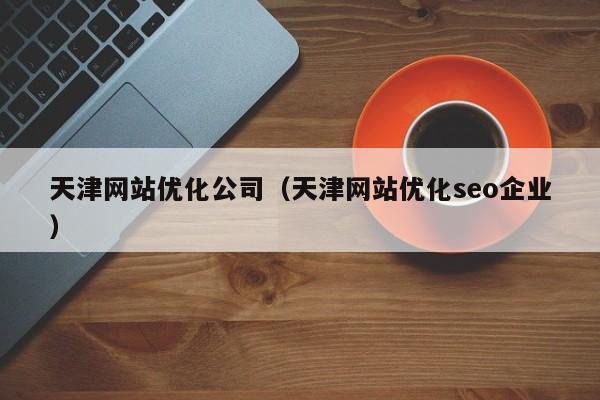 天津网站优化公司（天津网站优化seo企业）