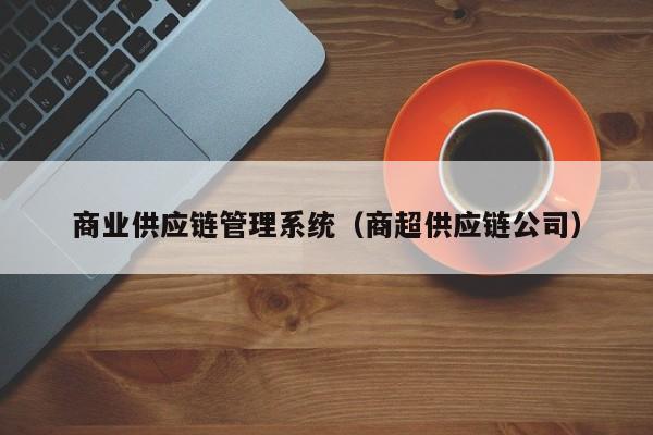 商业供应链管理系统（商超供应链公司）