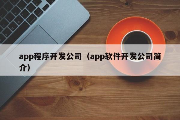 app程序开发公司（app软件开发公司简介）