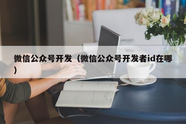 微信公众号开发（微信公众号开发者id在哪）