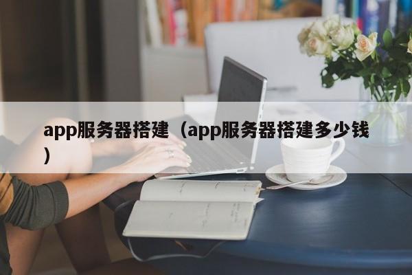 app服务器搭建（app服务器搭建多少钱）